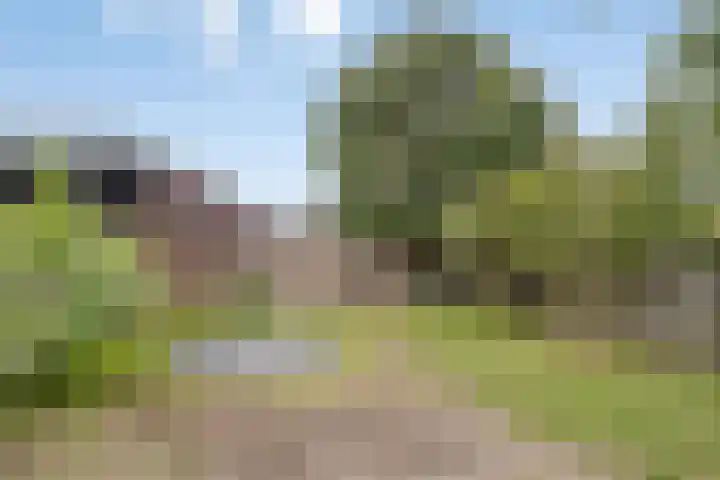 Katoenstraat 2 Deurne thumbnail 31