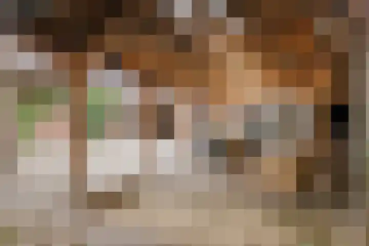 Katoenstraat 2 Deurne thumbnail 32