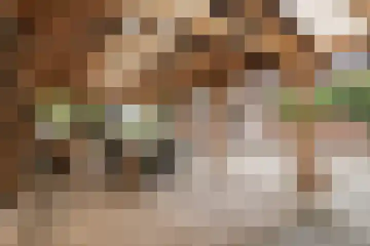 Katoenstraat 2 Deurne thumbnail 4