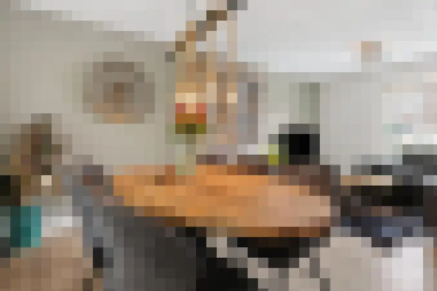 Katoenstraat 21 Geldrop thumbnail 11