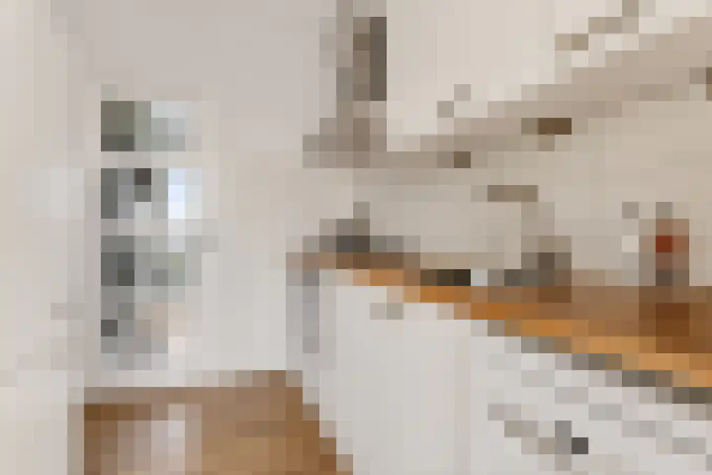 Katoenstraat 21 Geldrop thumbnail 12