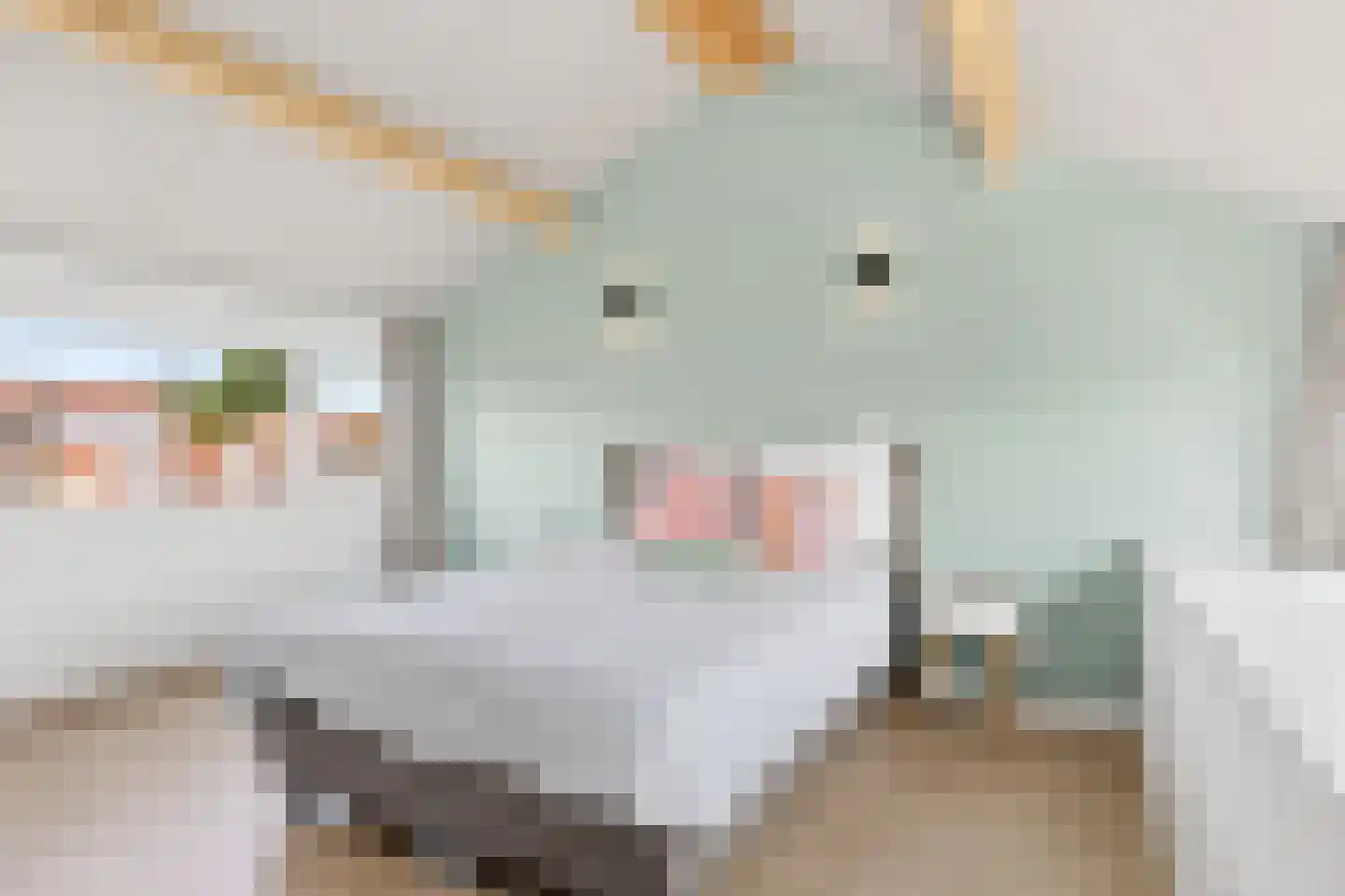 Katoenstraat 21 Geldrop thumbnail 25