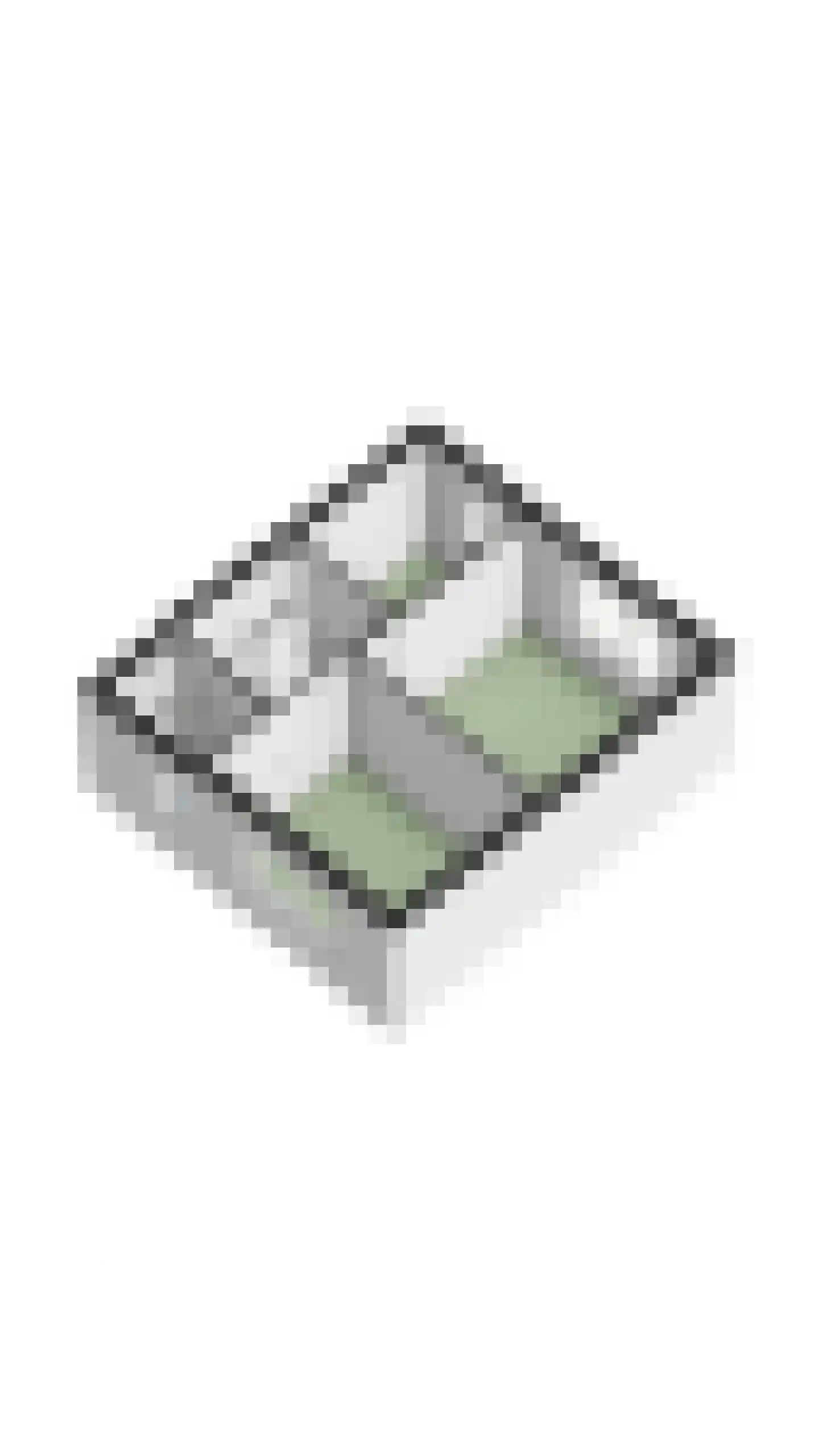 Katoenstraat 21 Geldrop thumbnail 48