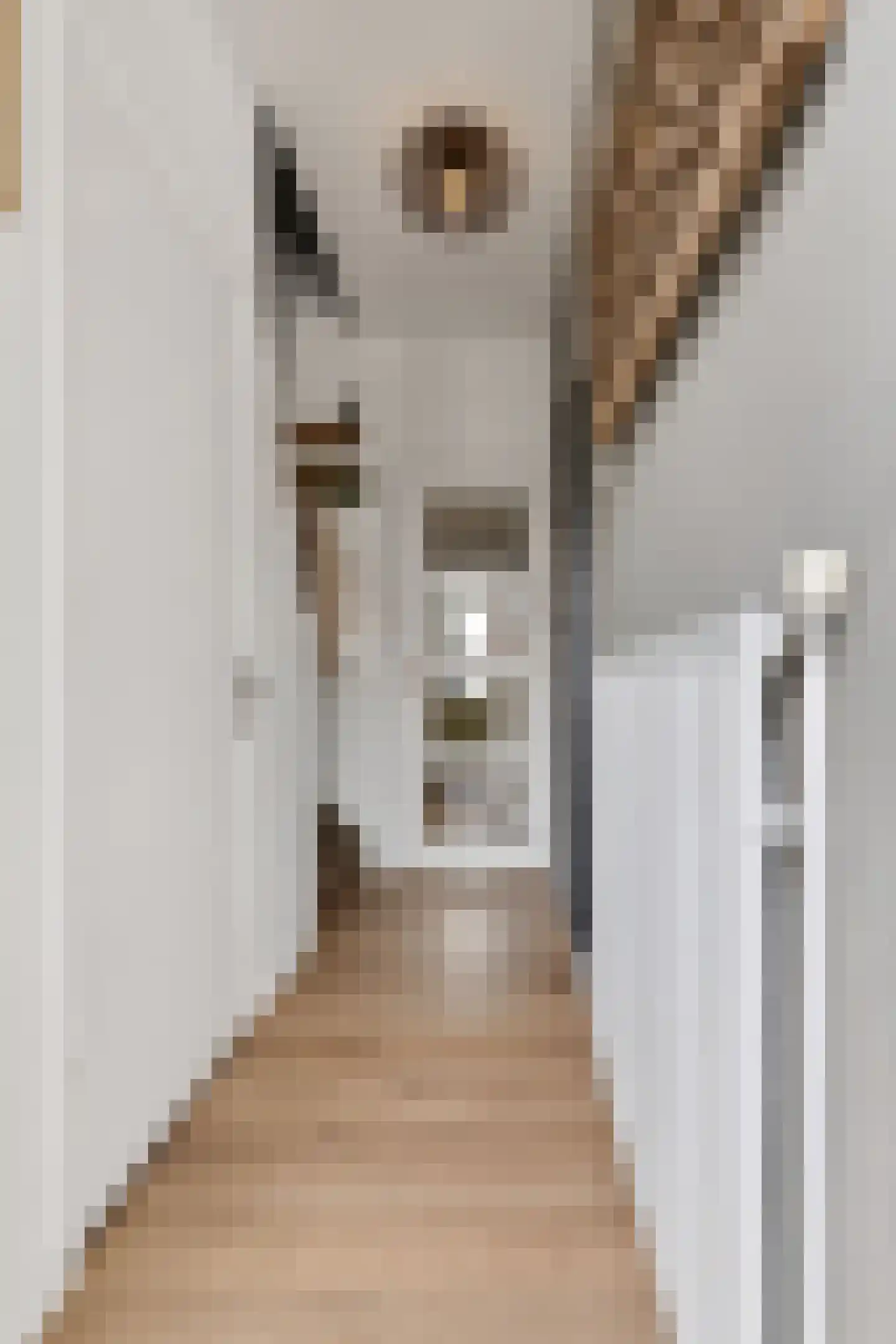Katoenstraat 21 Geldrop thumbnail 6
