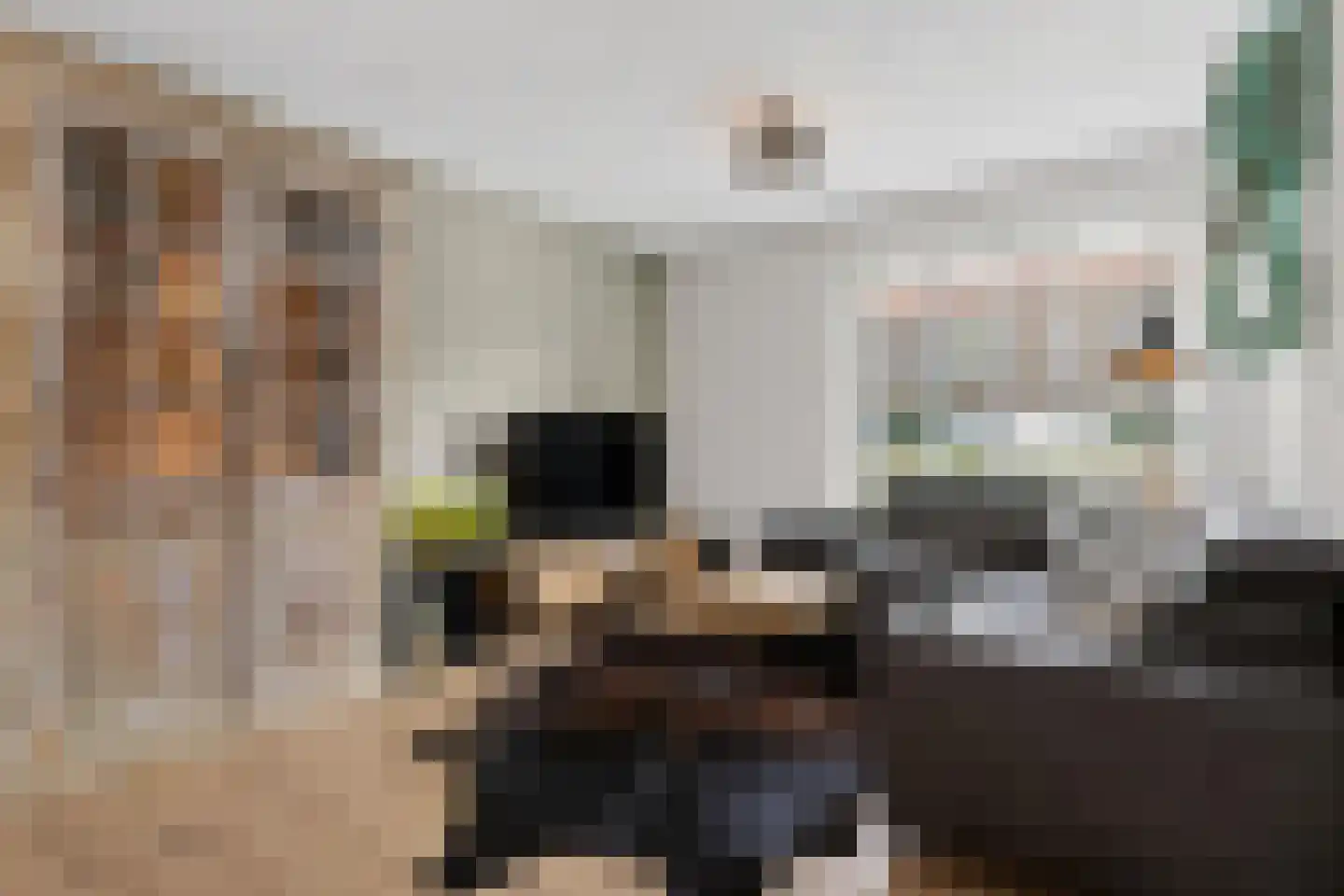 Katoenstraat 21 Geldrop thumbnail 7