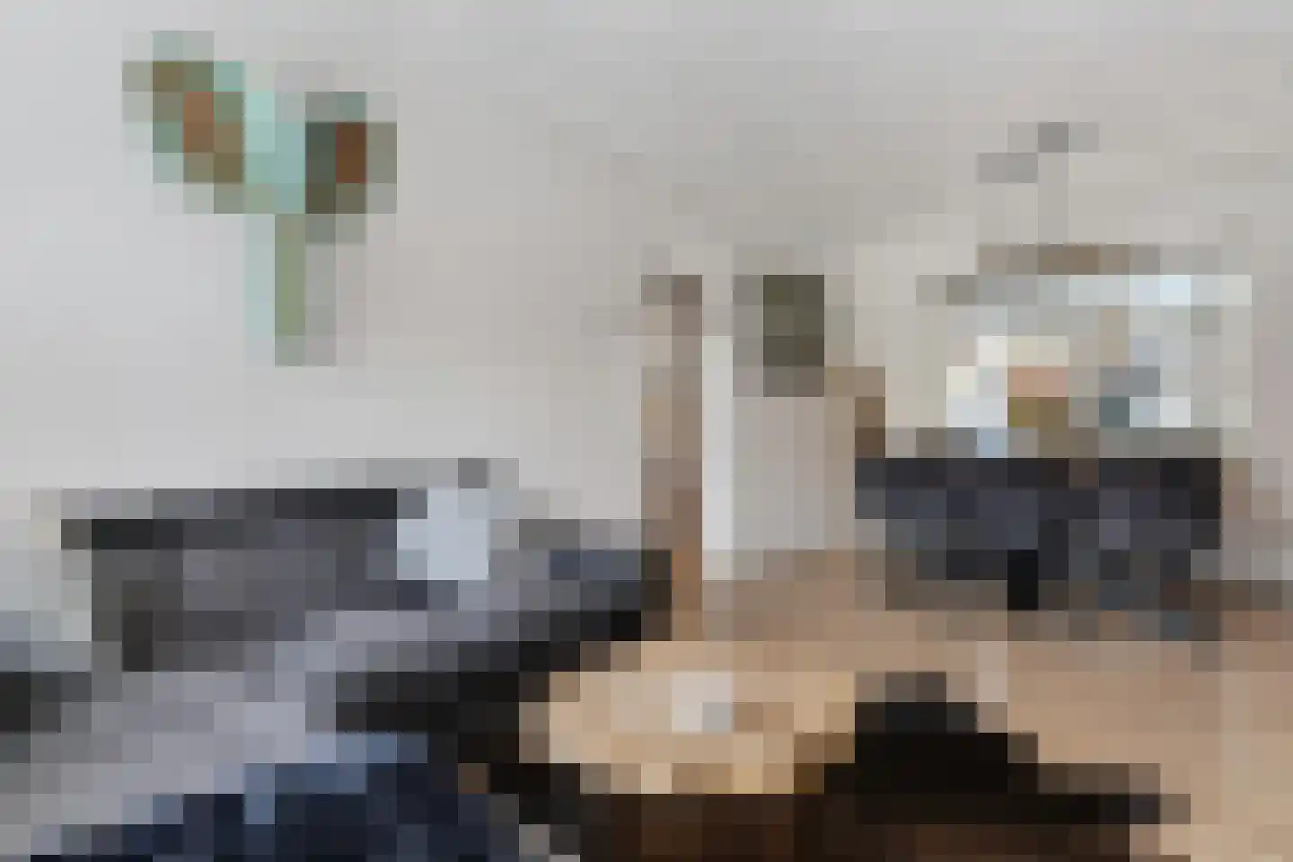 Katoenstraat 21 Geldrop thumbnail 8