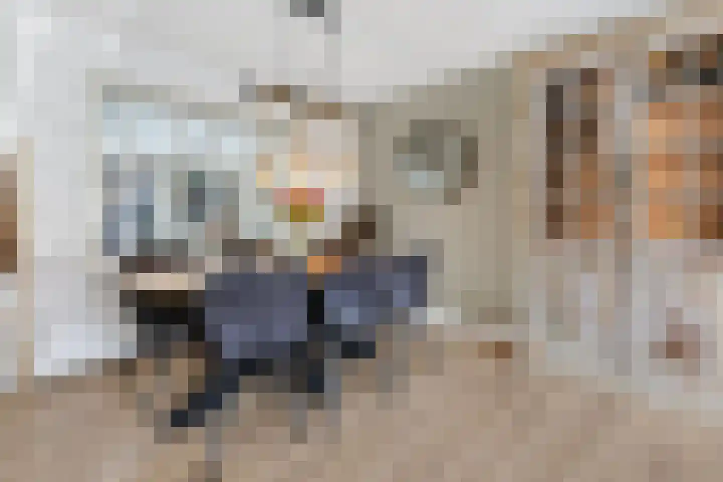 Katoenstraat 21 Geldrop thumbnail 9