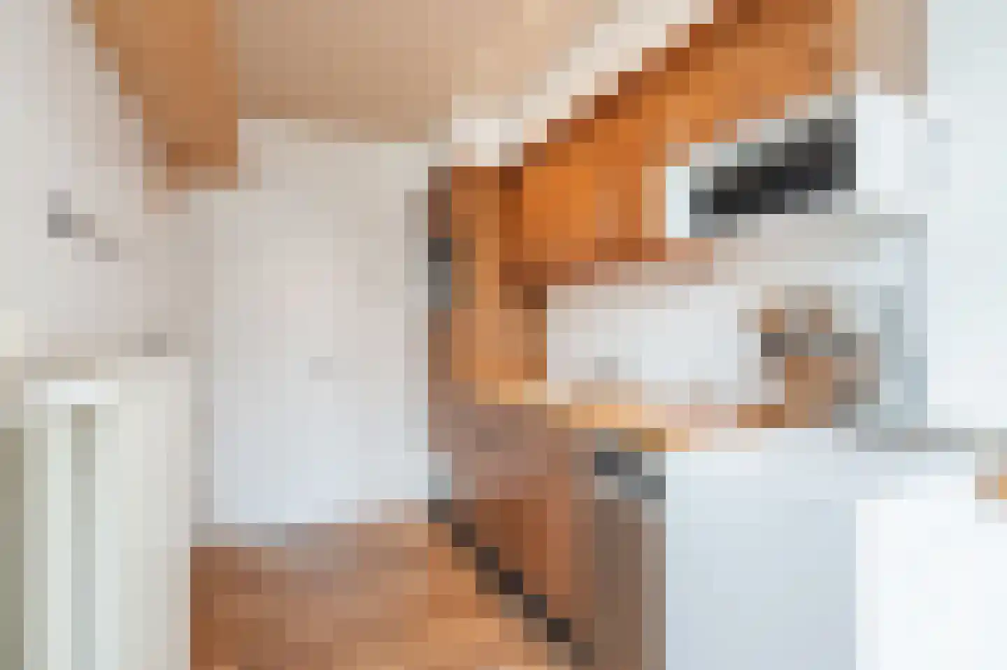 Katoenstraat 33 Geldrop thumbnail 17