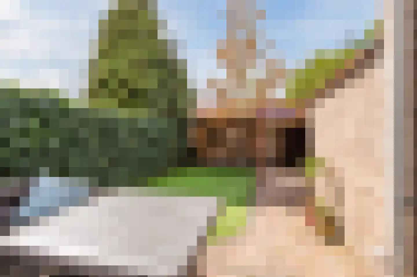 Katoenstraat 33 Geldrop thumbnail 31