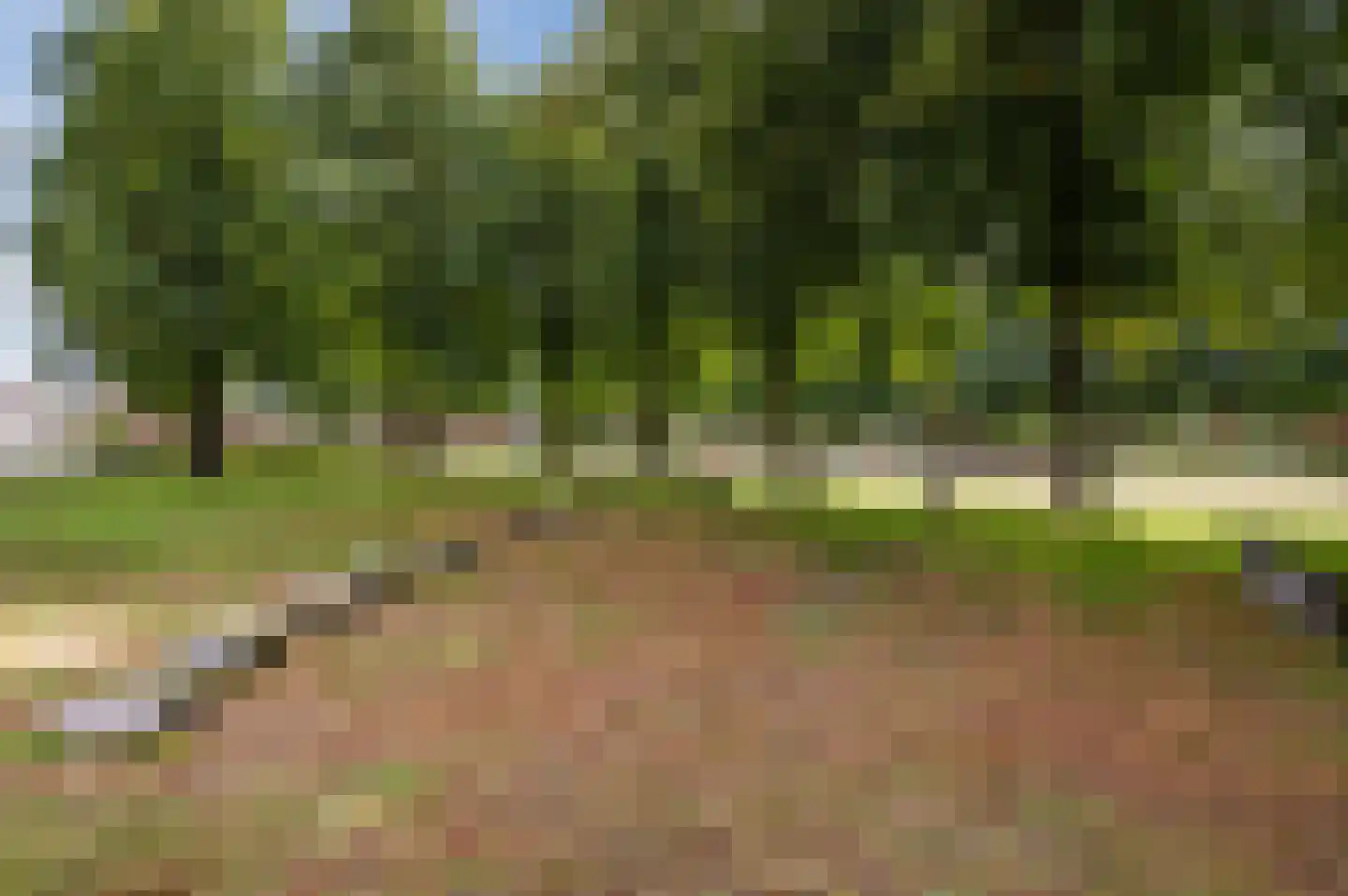 Katoenstraat 33 Geldrop thumbnail 34