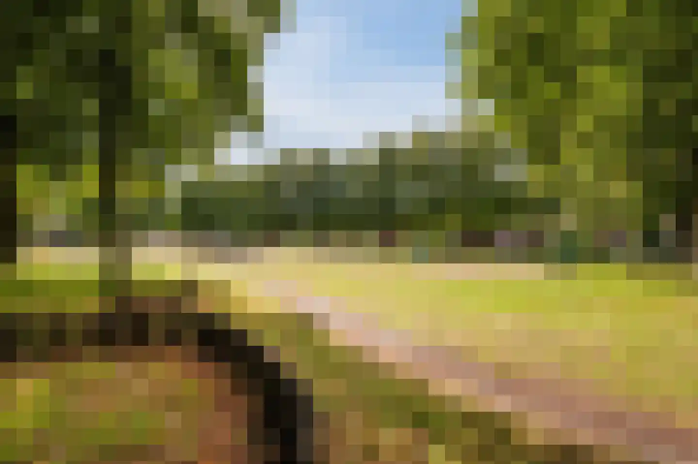 Katoenstraat 33 Geldrop thumbnail 36