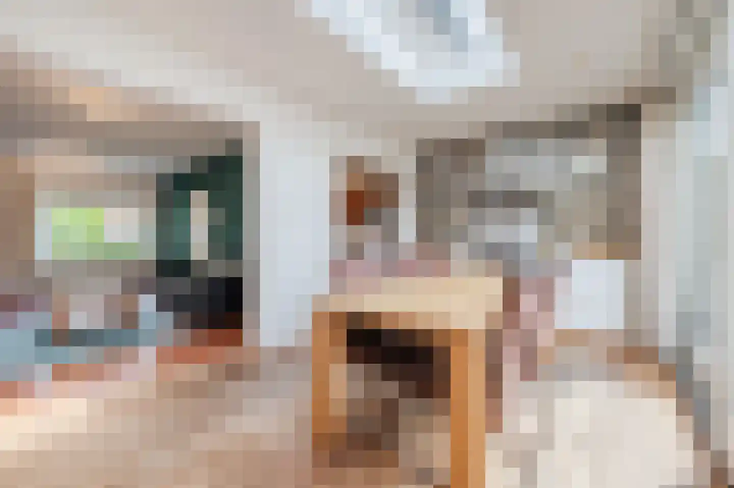 Katoenstraat 33 Geldrop thumbnail 4
