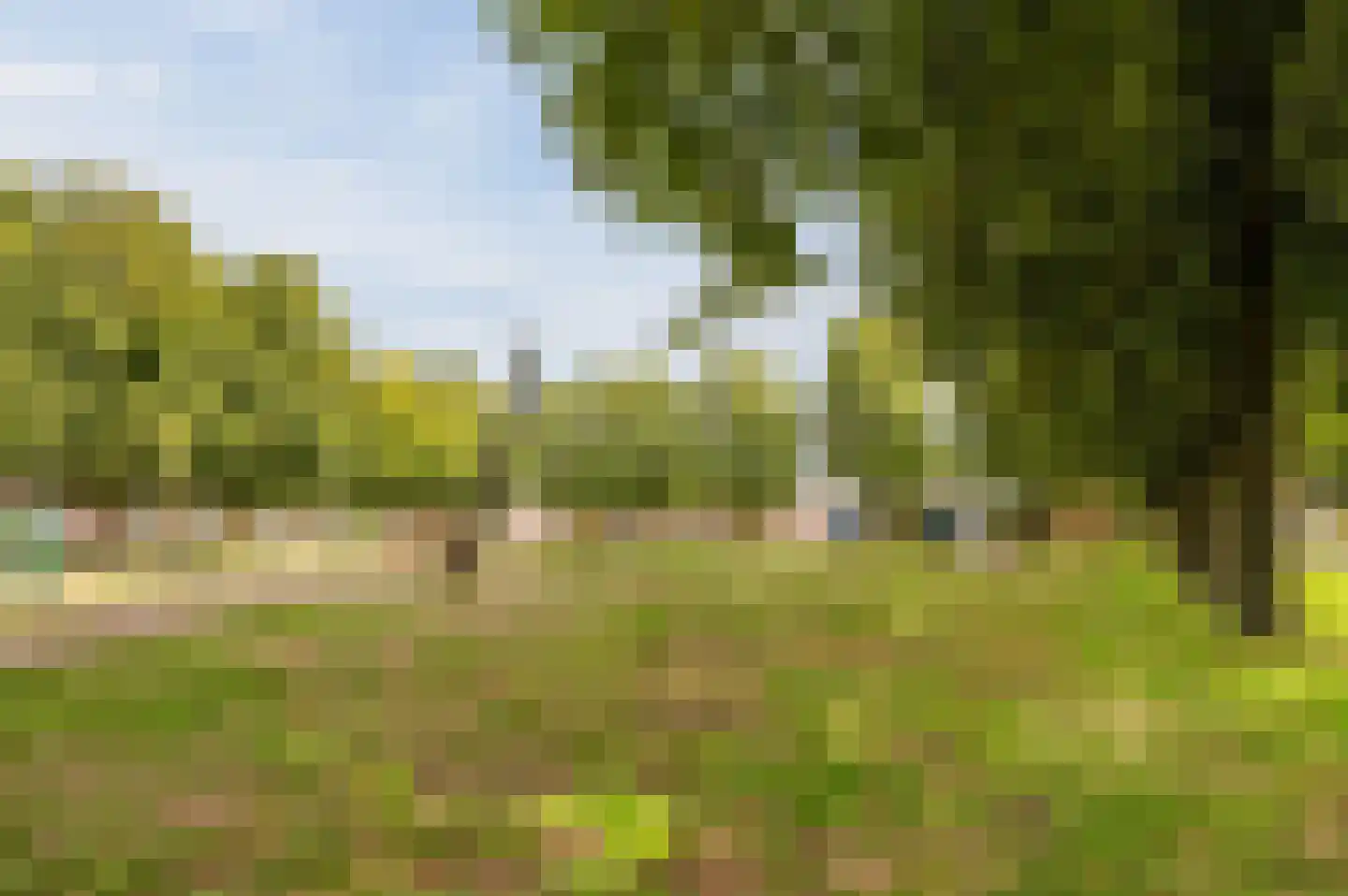 Katoenstraat 33 Geldrop thumbnail 6