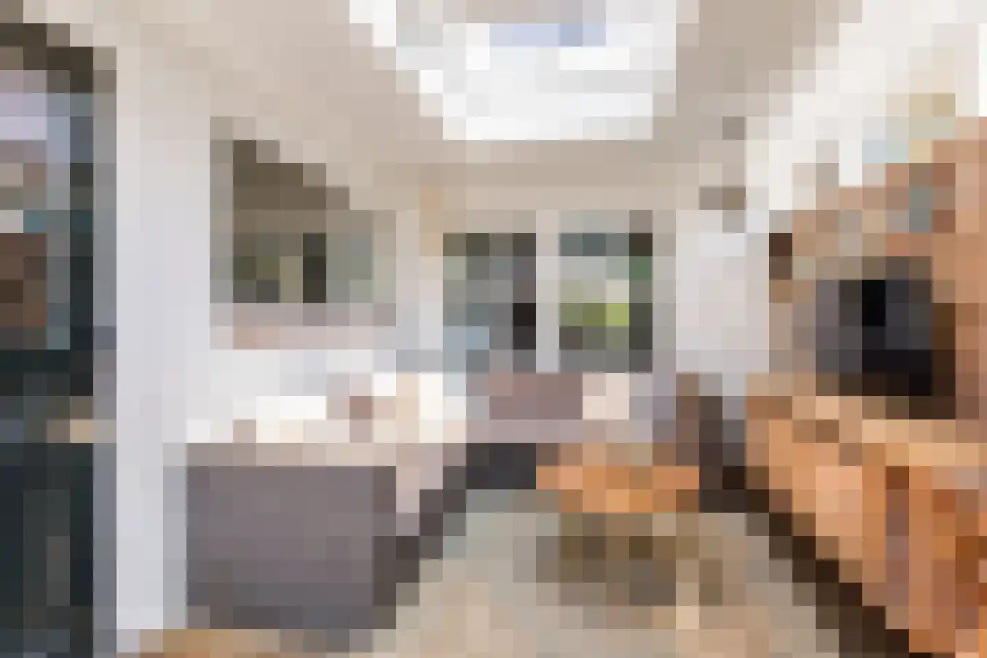 Katoenstraat 4 Oldenzaal thumbnail 18