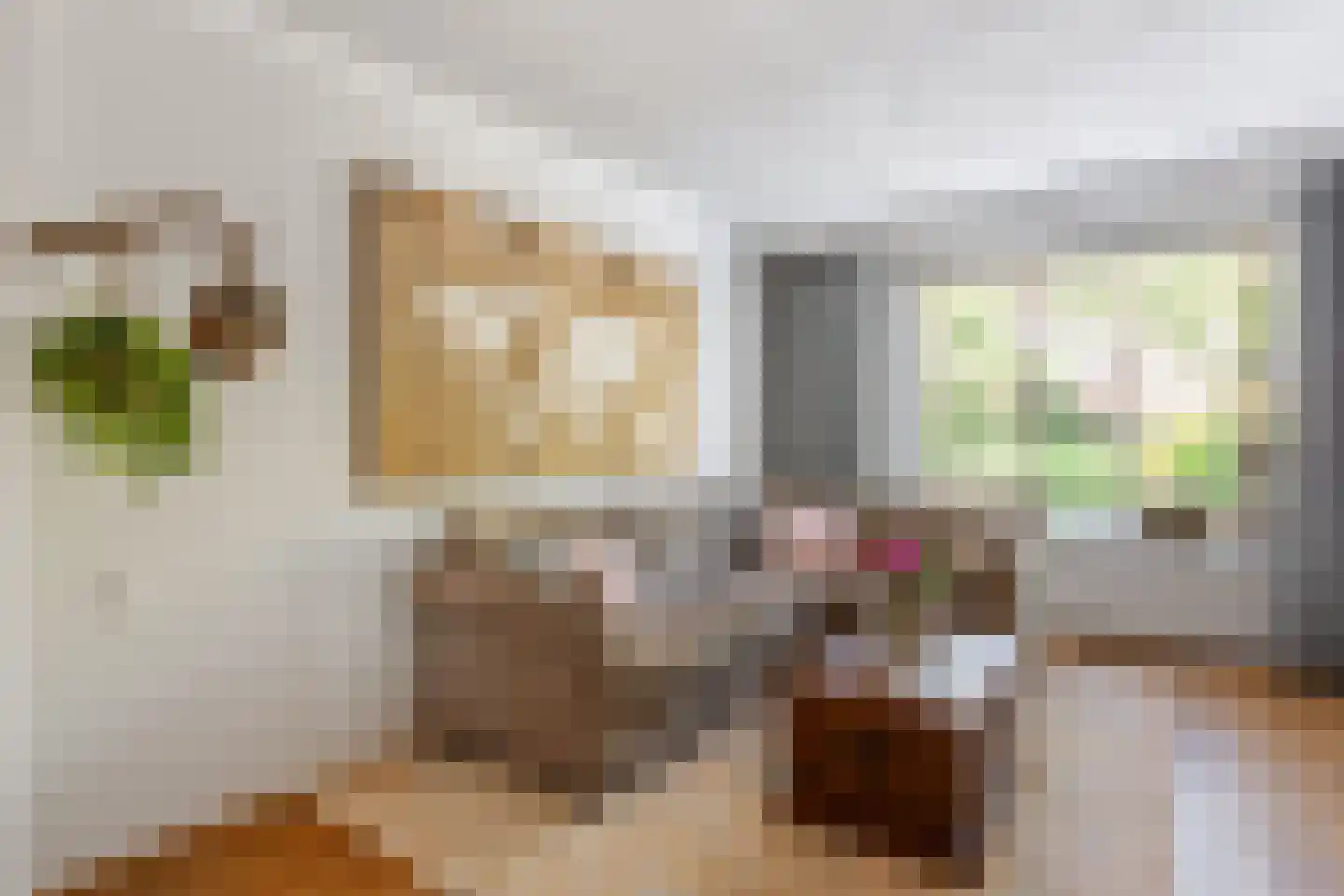Katoenstraat 4 Oldenzaal foto 3