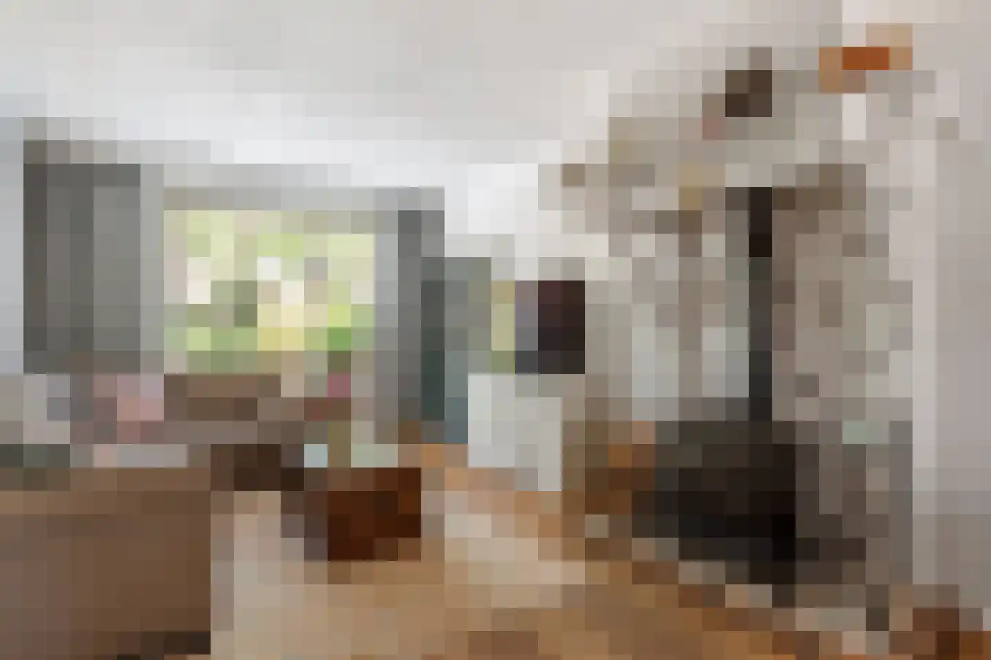 Katoenstraat 4 Oldenzaal thumbnail 4