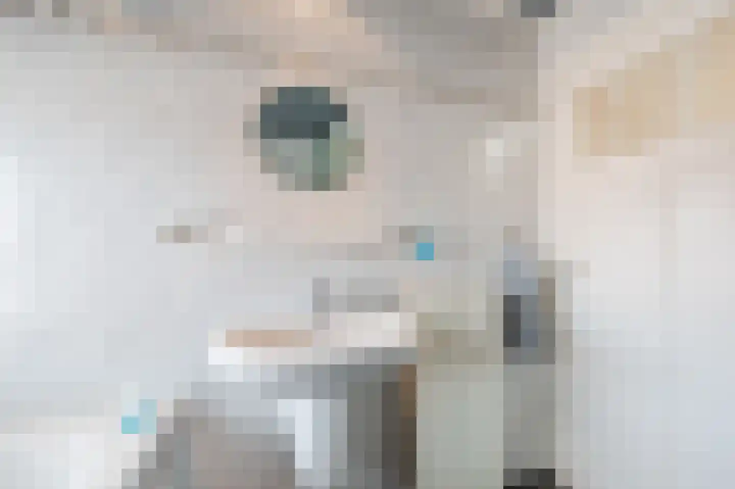 Katoenstraat 6 Geldrop thumbnail 27
