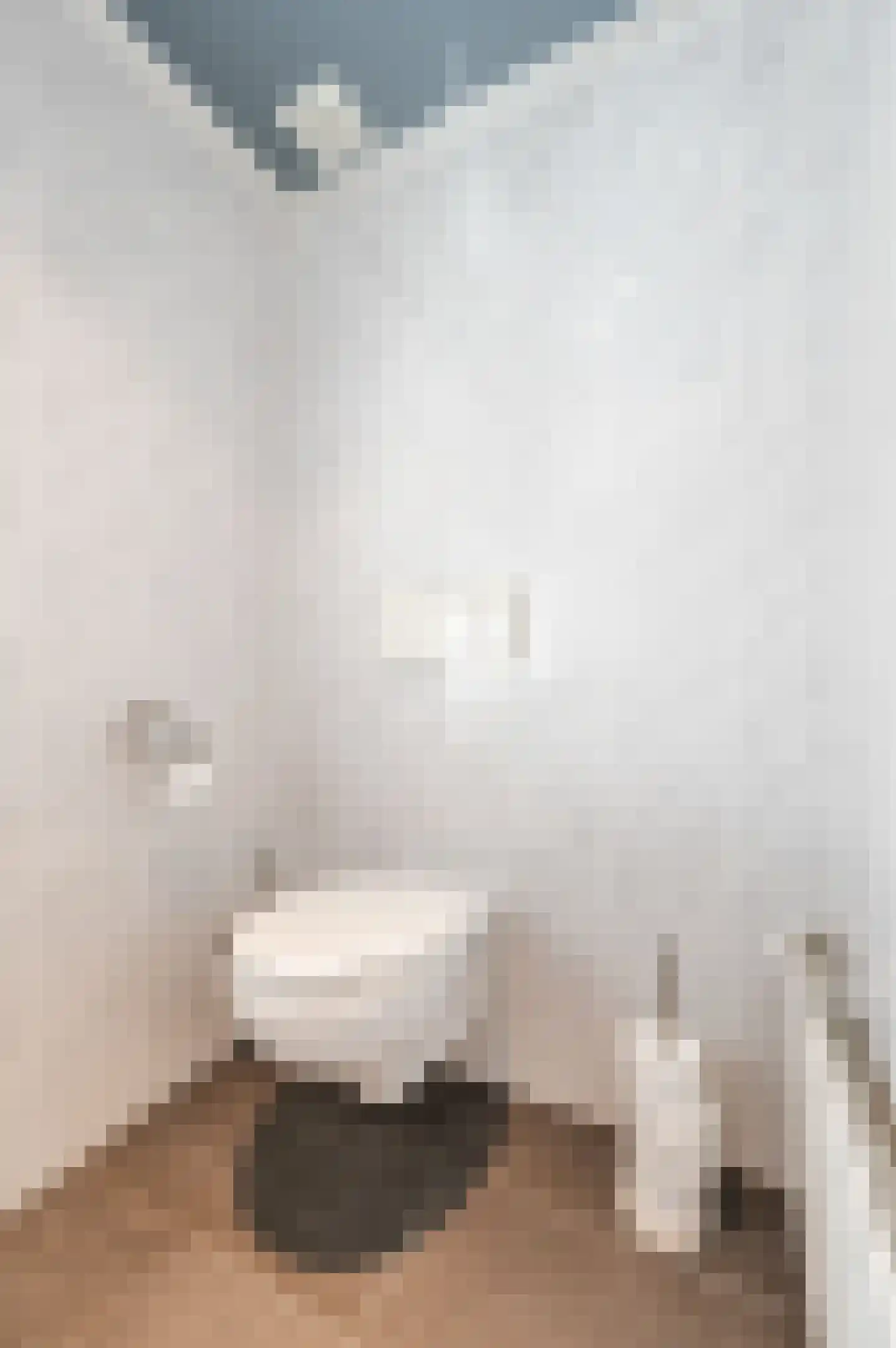 Katoenstraat 6 Geldrop thumbnail 29