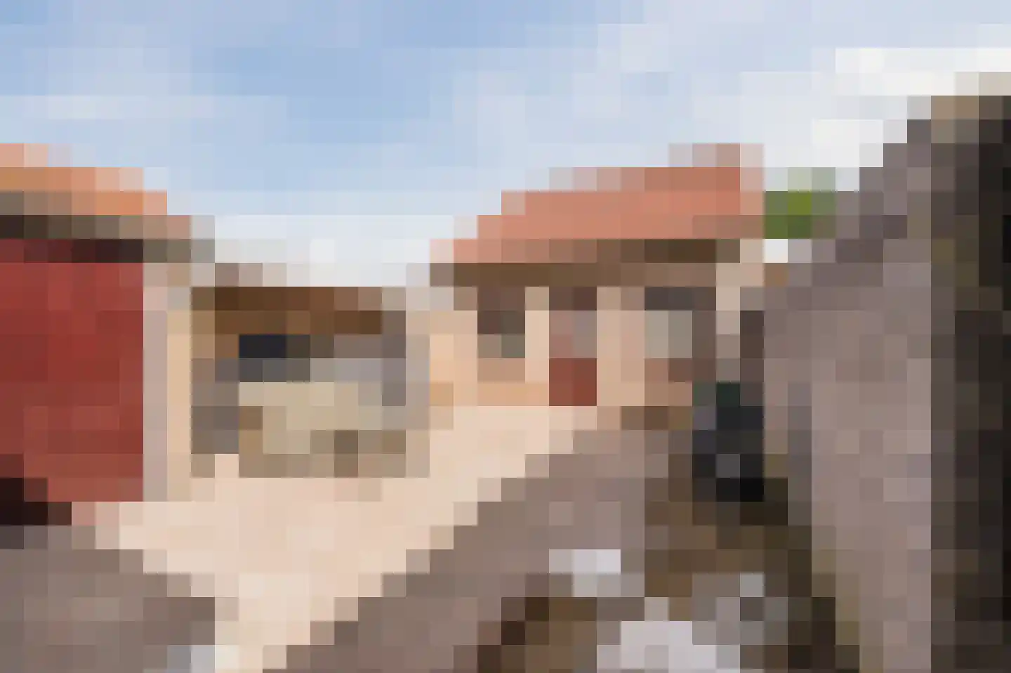 Katoenstraat 6 Geldrop thumbnail 37