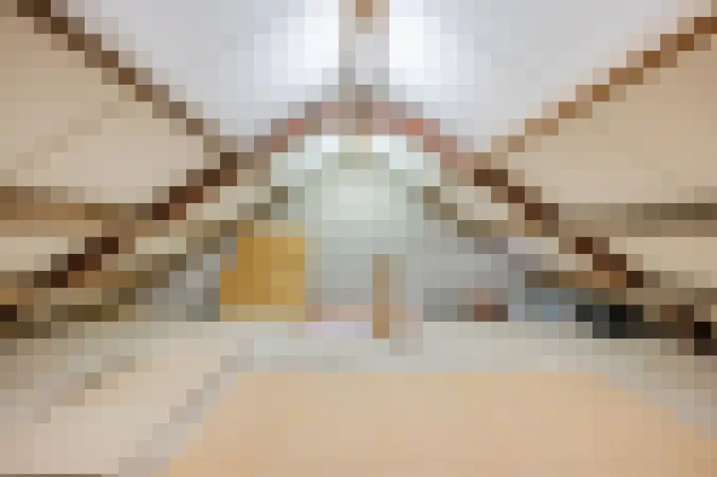 Katoenstraat 6 Geldrop thumbnail 42