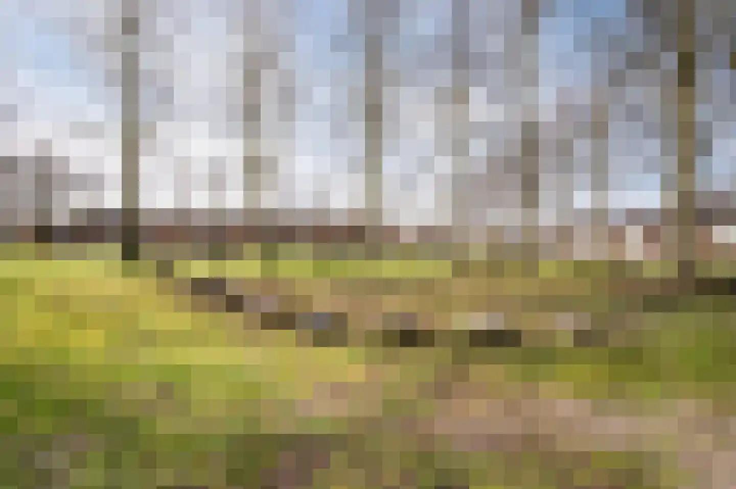 Katoenstraat 6 Geldrop thumbnail 47