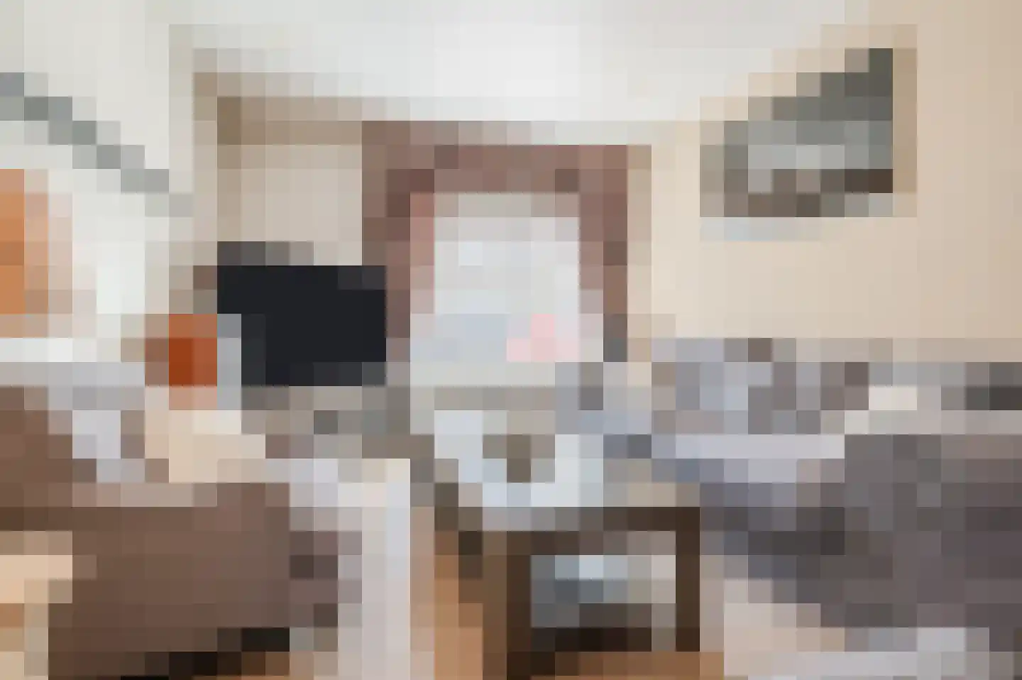 Katoenstraat 6 Geldrop thumbnail 7