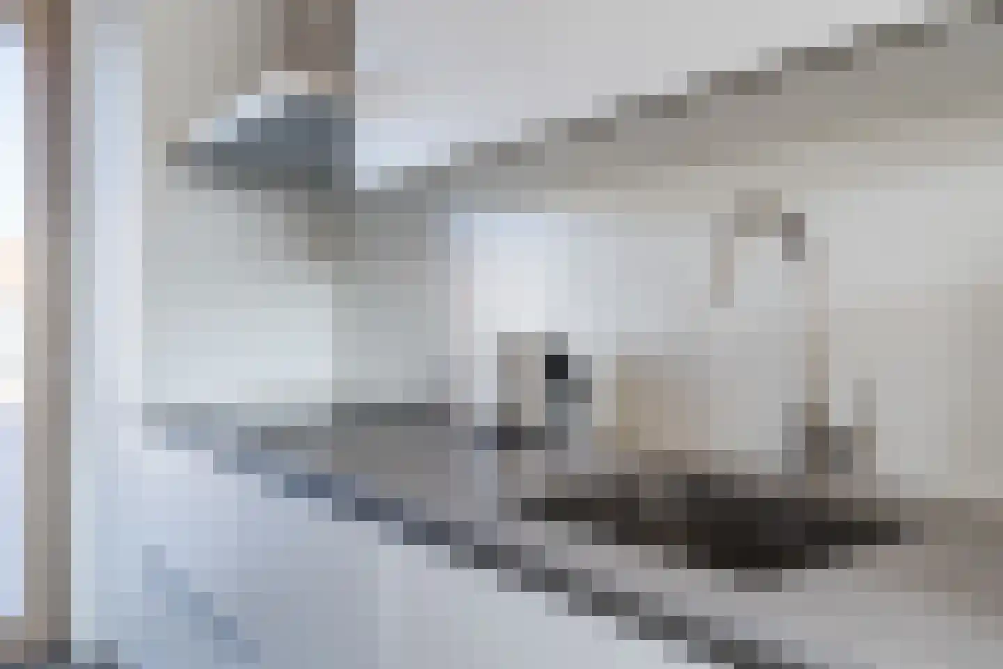Katoenstraat 7 Helmond thumbnail 15