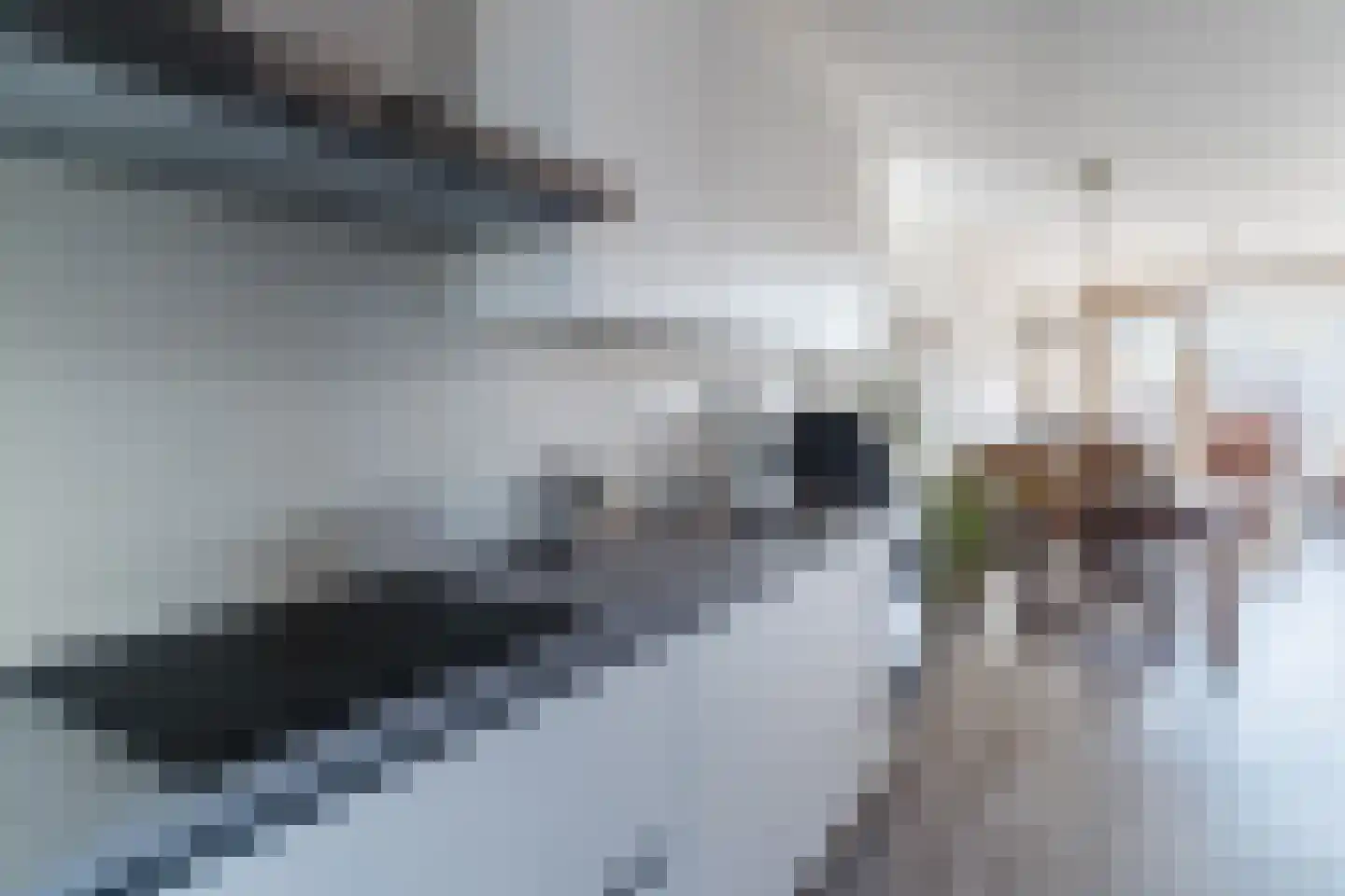 Katoenstraat 7 Helmond thumbnail 16