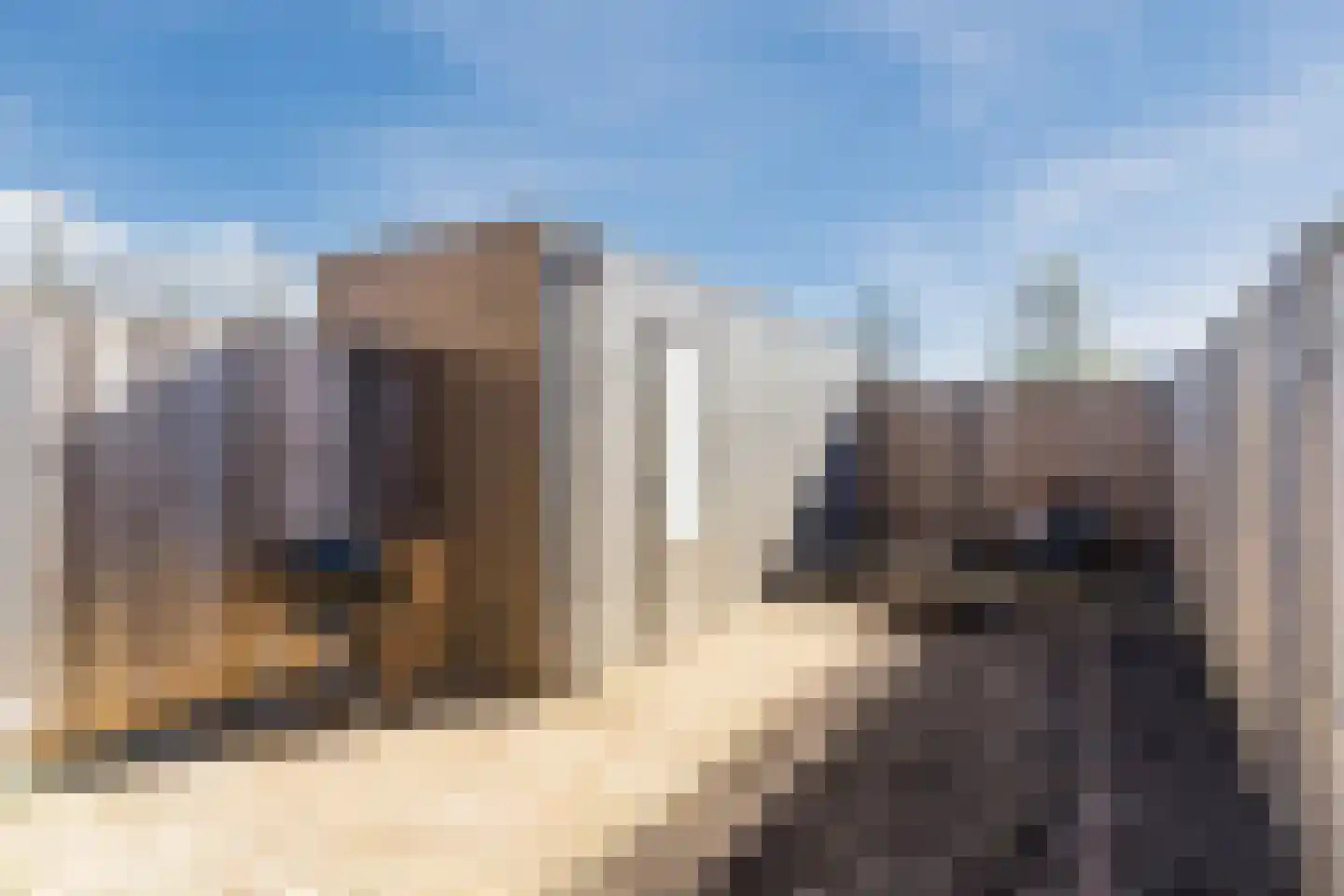 Katoenstraat 7 Helmond thumbnail 32