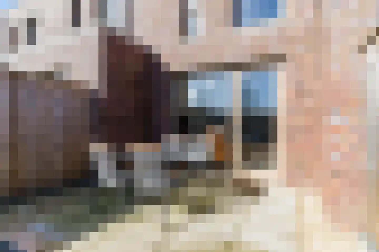 Katoenstraat 7 Helmond thumbnail 37