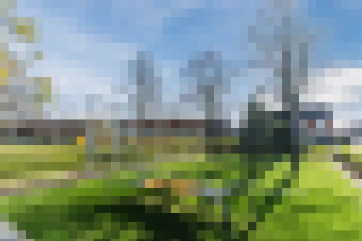 Katoenstraat 7 Helmond thumbnail 43