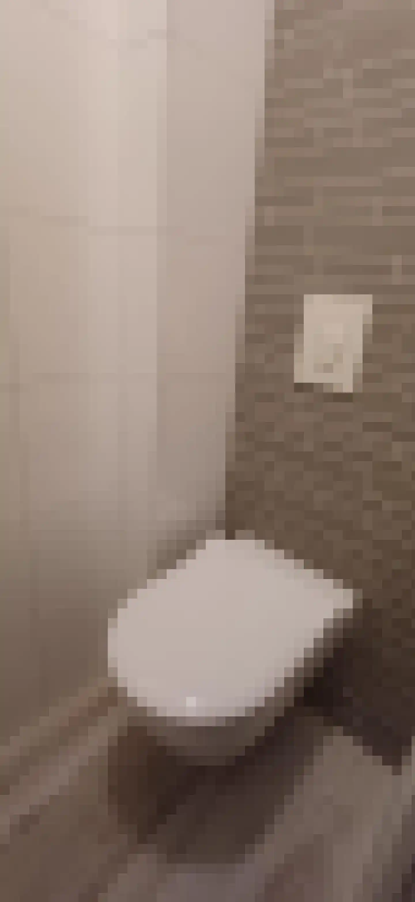 Katoenstraat 9 Geldrop thumbnail 16