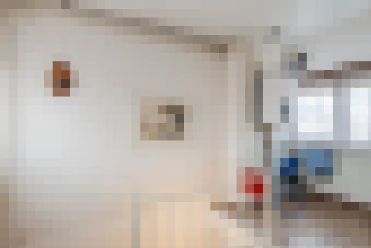 Katoenstraat 9 Geldrop thumbnail 26