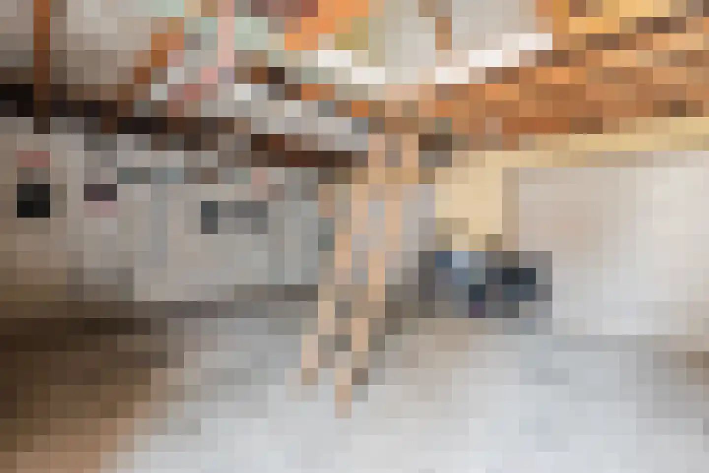 Katoenstraat 9 Geldrop thumbnail 35