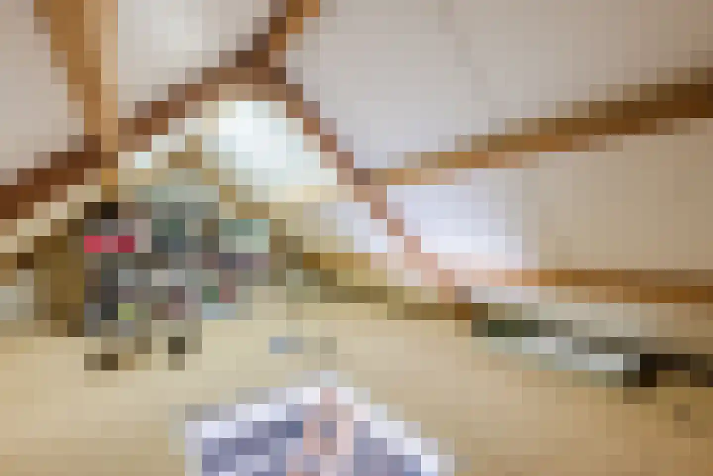 Katoenstraat 9 Geldrop thumbnail 36