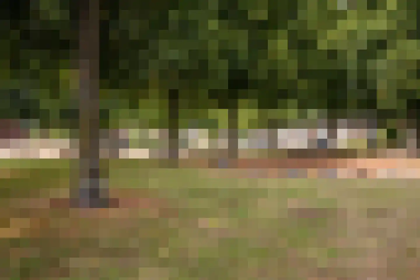Katoenstraat 9 Geldrop thumbnail 41