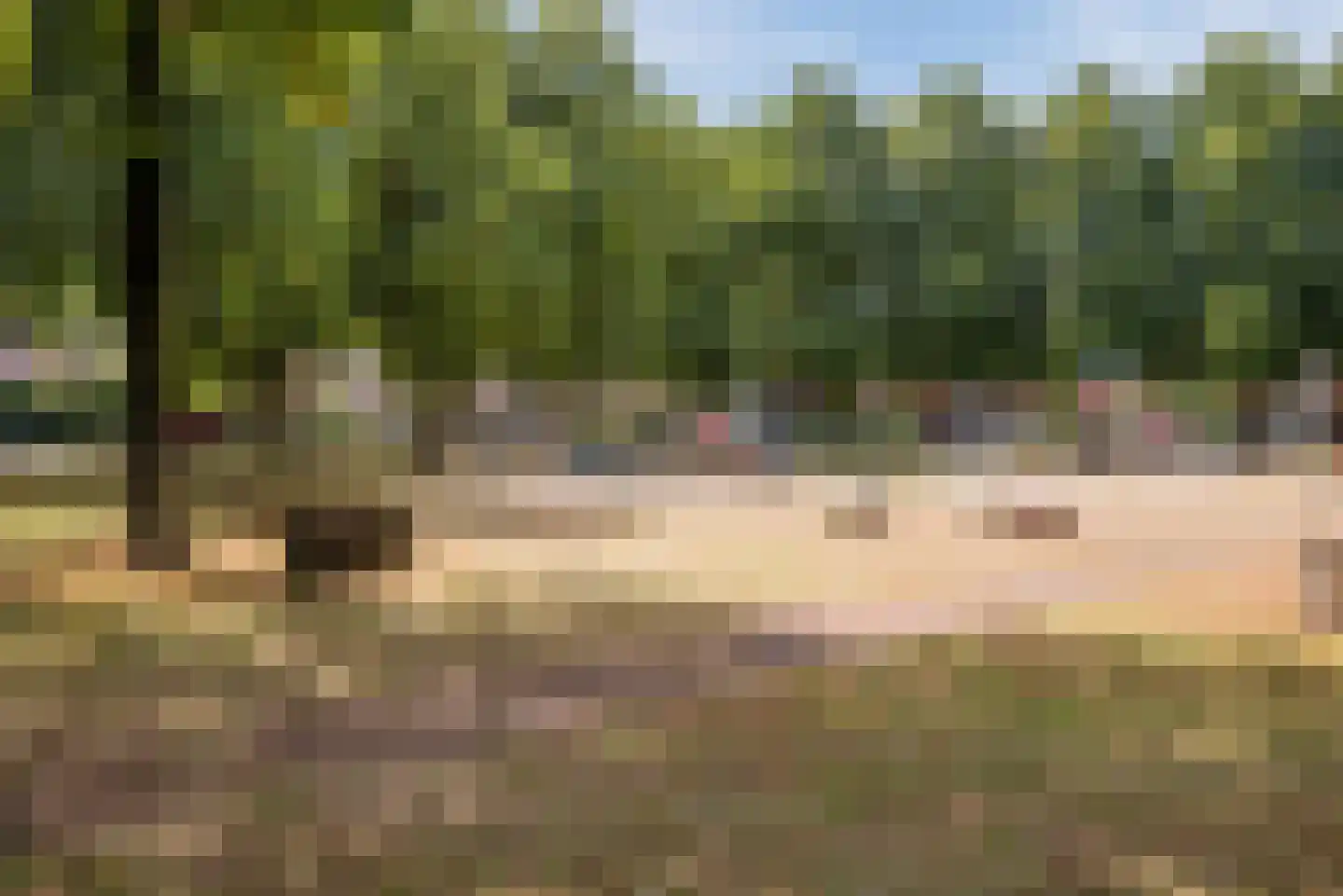 Katoenstraat 9 Geldrop thumbnail 42
