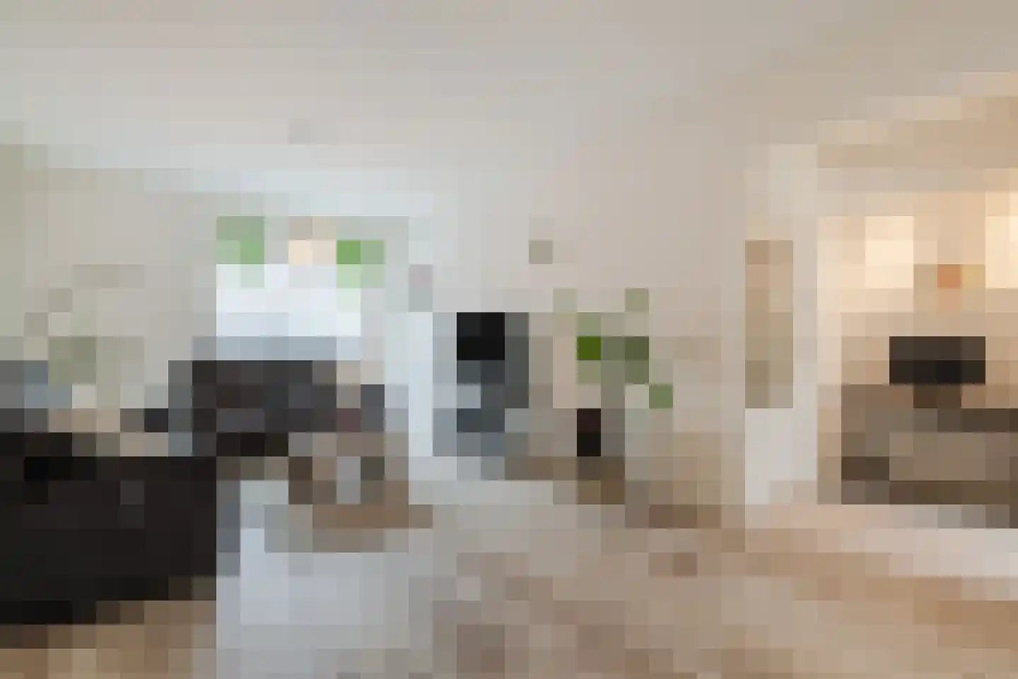 Katoenstraat 9 Geldrop thumbnail 8