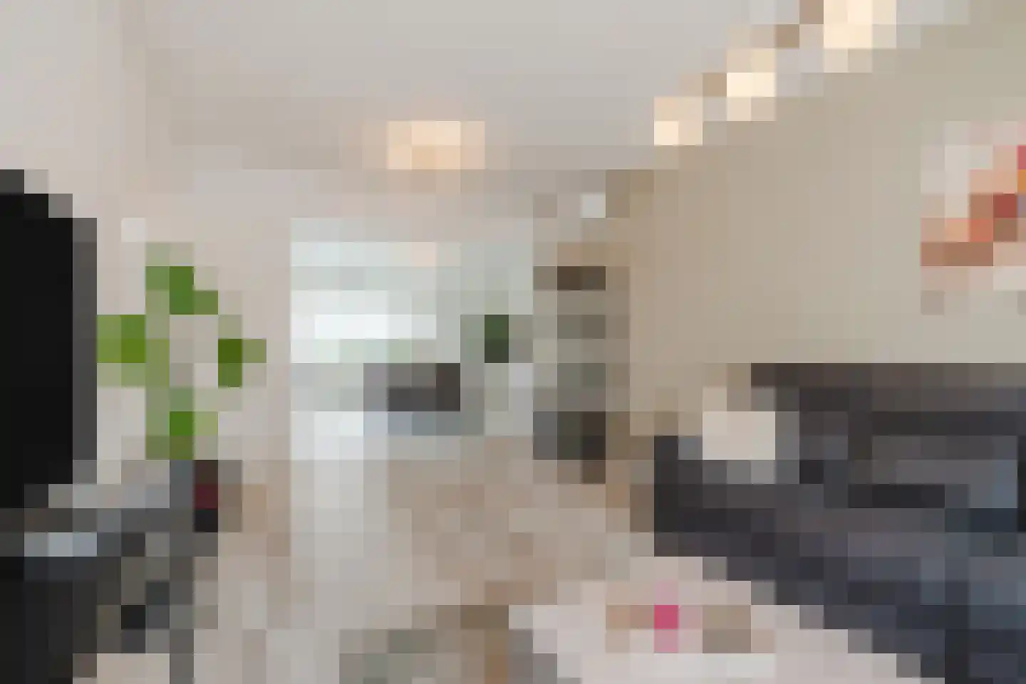 Katoenstraat 9 Geldrop thumbnail 9