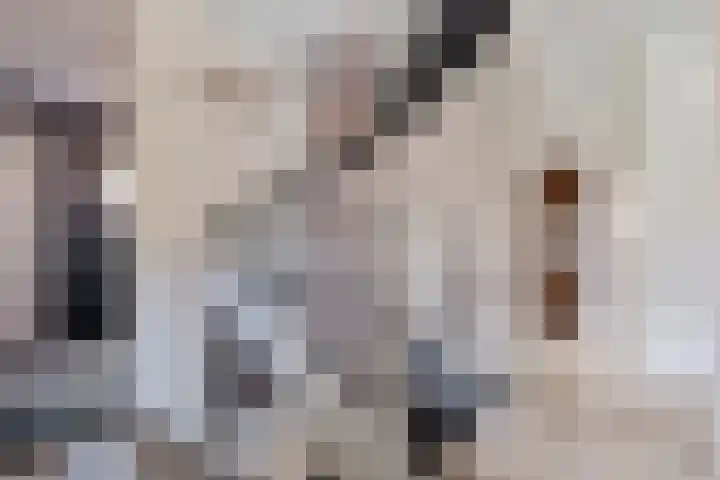 Katoenweversgilde 24 Hasselt thumbnail 22