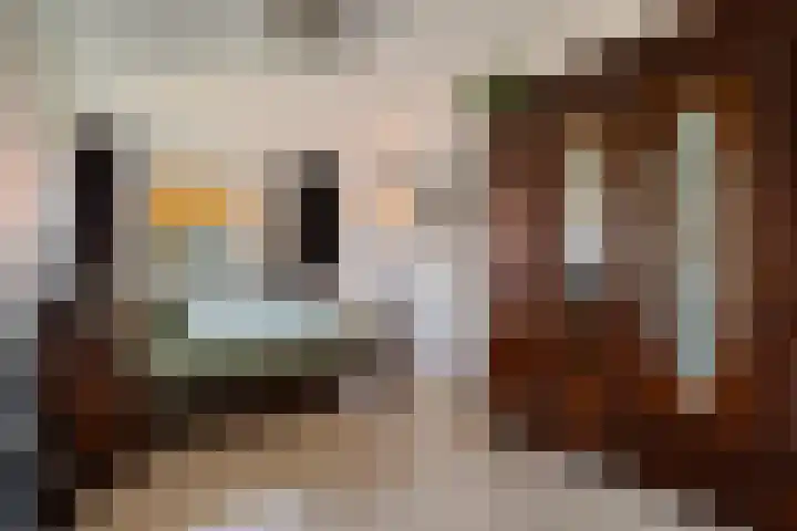 Katoenweversgilde 24 Hasselt thumbnail 23