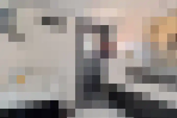 Katoenweversgilde 24 Hasselt thumbnail 30