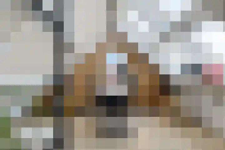 Katoenweversgilde 24 Hasselt thumbnail 35