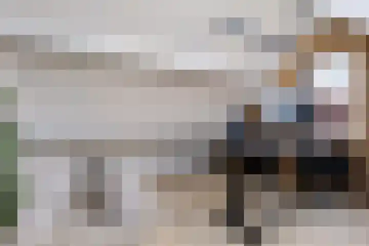 Katoenweversgilde 24 Hasselt thumbnail 37