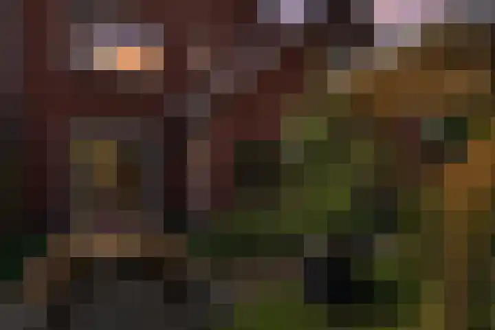 Katoenweversgilde 24 Hasselt thumbnail 43