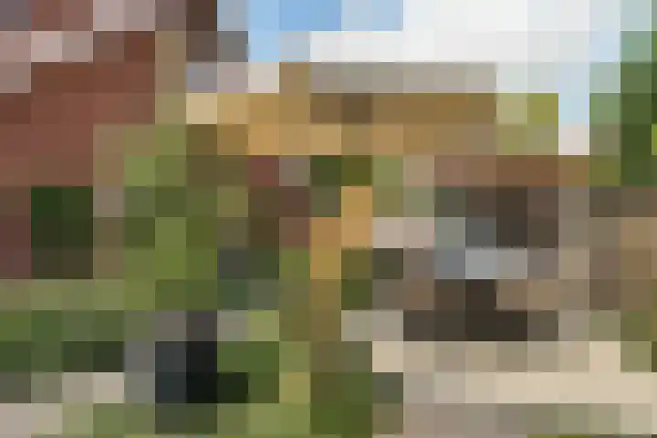 Katoenweversgilde 24 Hasselt thumbnail 45