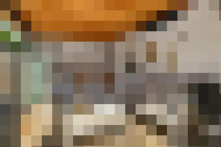 Katoenweversgilde 24 Hasselt thumbnail 48