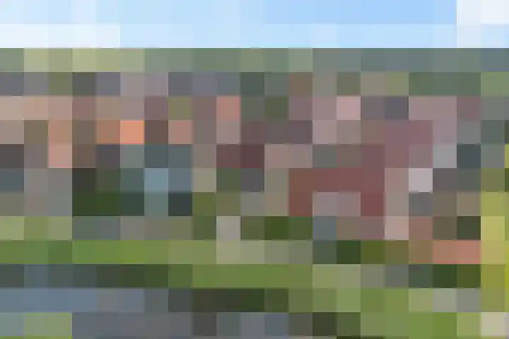 Katoenweversgilde 24 Hasselt thumbnail 8