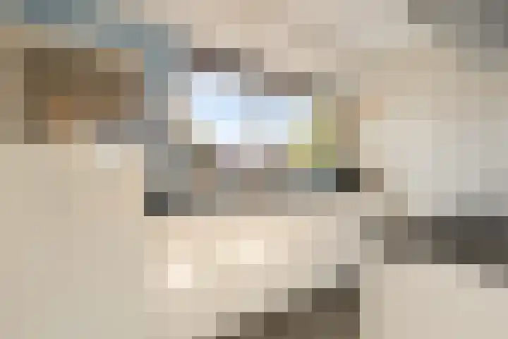 Katoenweversgilde 35 Hasselt thumbnail 17