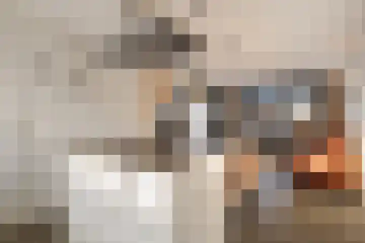 Katoenweversgilde 35 Hasselt thumbnail 19